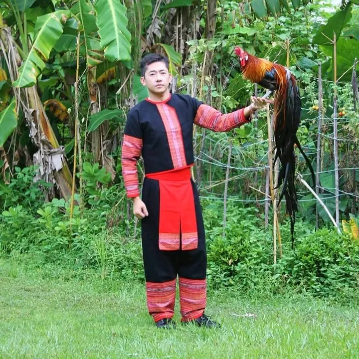 phoenixvaj