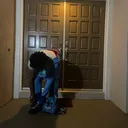 @ysb_tris