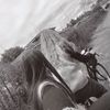 lya8.2