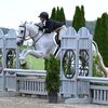 ak_18.equestrian