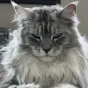 @777djt777