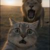 cele.film8