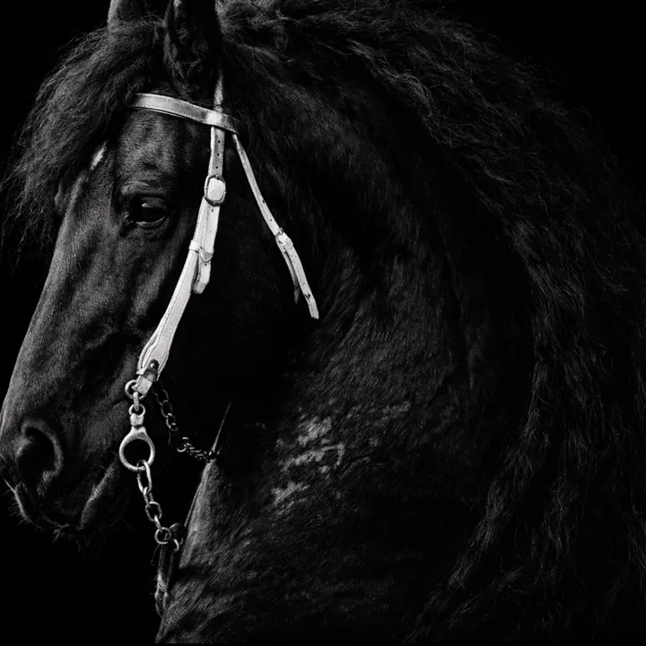barquillero
