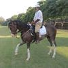 sultanalishakir5
