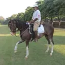@sultanalishakir5