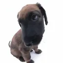 @jmaytin9