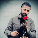 @old_bloodline_302
