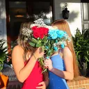 @saoirsespams63