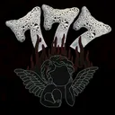 @x7_mss00