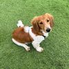 theweencharlie