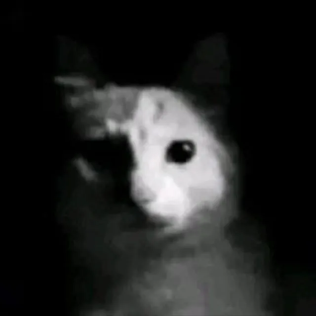steellixss