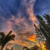debi_naturegirl