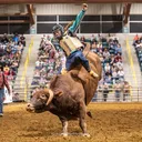@hydecocowboy