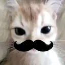 @siyahiy_