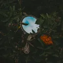 @secret.guy130