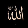 islamicmadinah2