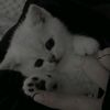 danya_ded0
