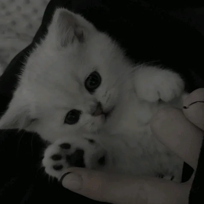 danya_ded0