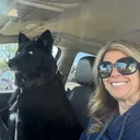 @shepsky.mom