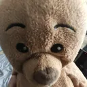 @melo.dawg