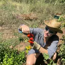 @thegreennfork