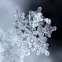 @mylittlesnow28