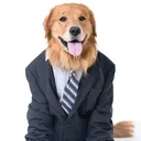 @officememes72