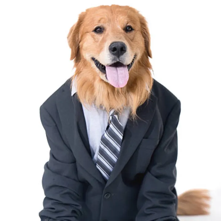 officememes72