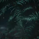 @fadinglightmusic