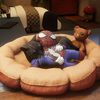kingduncanjr_356