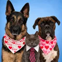 @borisandsmokey