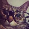 blgmeowza