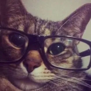 @blgmeowza