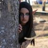 river_bee_cos
