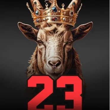 @lebronbballking