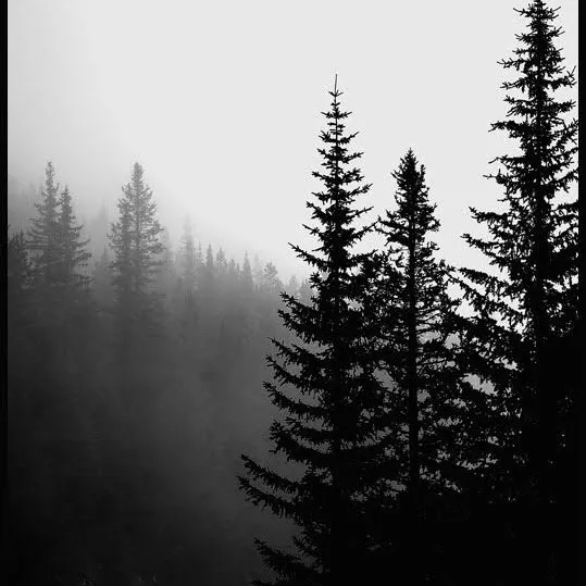 @deeptalk247