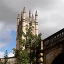 @kingduckyfacts