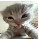 @gali08483