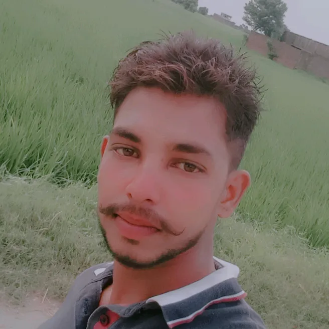 @roban.roban005