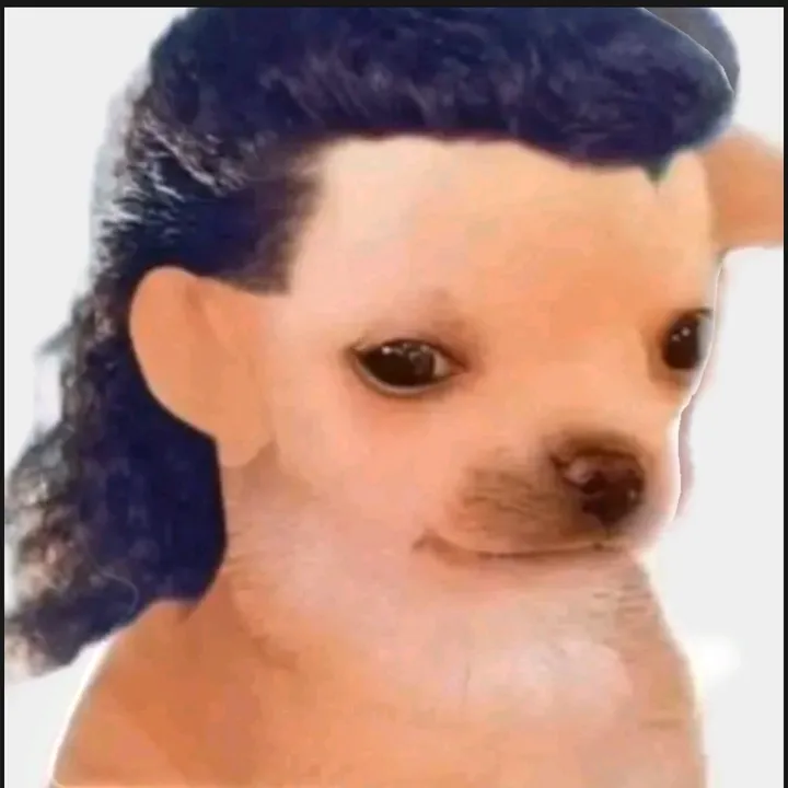 cacomixtlet