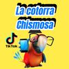 lacotorrachisme
