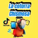 @lacotorrachisme