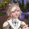 snowcat.xiv