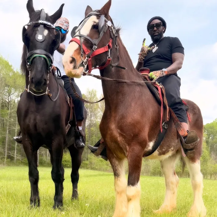 cowboyloochie