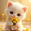 mely12361