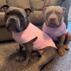 barkavenue131