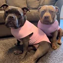 @barkavenue131