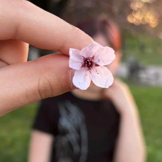 @nelajaknutellaskibidi.67