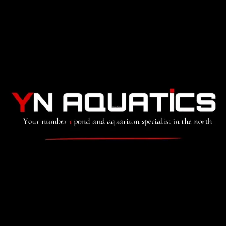 yn_aquatics