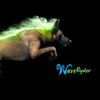 waveryder_k9